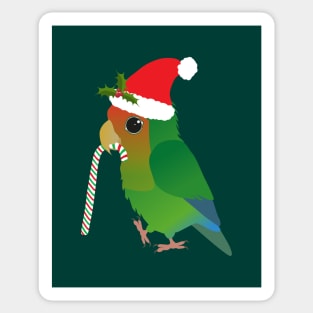 A cute Christmas peach faced lovebird Sticker